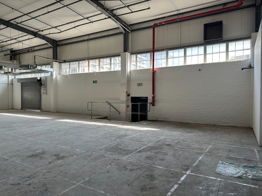 To Let commercial Property for Rent in Observatory Western Cape